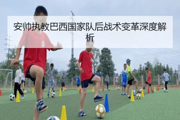 安帅执教巴西国家队后战术变革深度解析